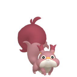 #819 Skwovet